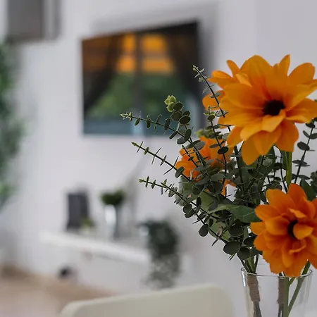 Апартаменты Amplio Y Luminoso 3 Parking *