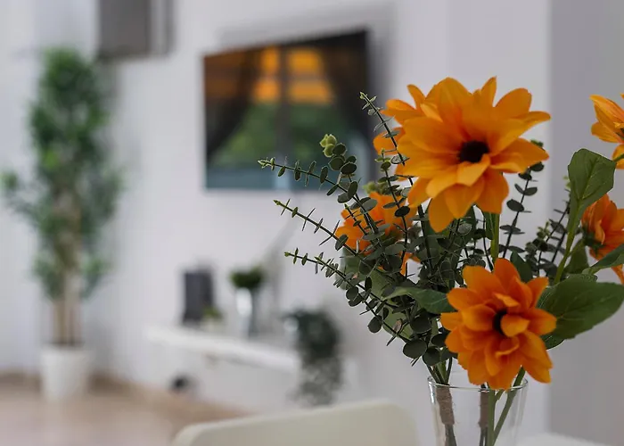 Apartment Amplio Y Luminoso 3 Parking *