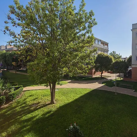 Amplio Y Luminoso 3 Parking Jerez de la Frontera